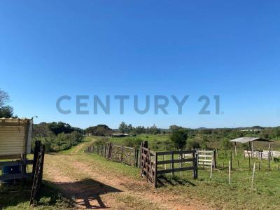 Cnel Martinez casi Fotografos del Chaco , Luque, Merkezi 00001, Paraguay