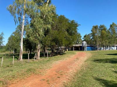 Cnel Martinez casi Fotografos del Chaco , Luque, Merkezi 00001, Paraguay
