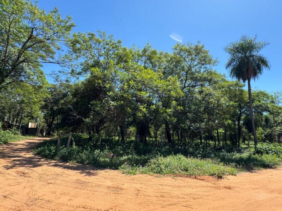 Sebastian El Cano casi Ciervo Cua , San Bernardino, Cordillera 00001, Paraguay