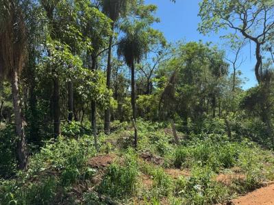 Sebastian El Cano casi Ciervo Cua , San Bernardino, Cordillera 00001, Paraguay