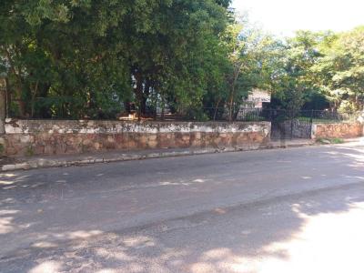 Callejon Zaracho  casi Avenida Mariscal Lopez S/N, Fernando De La Mora, Merkezi 00001, Paraguay