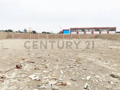 Huaura, Lima 00001, Peru