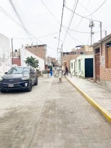 Huaura, Lima 00001, Peru