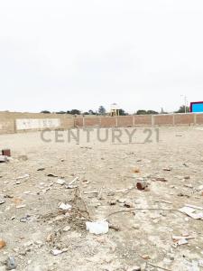 Huaura, Lima 00001, Peru