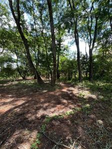 Calle Ita Kaaguy de Fernando de la Mora Zona Sur , Fernando De La Mora, Central 00001, Paraguay