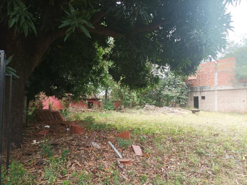 Domingo Martinez de Irala , Lambaré, Central 2006, Paraguay