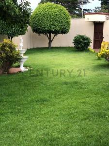 Calle San Pedro esquina colosenses , Norte, Santa Cruz 00001, 玻利维亚