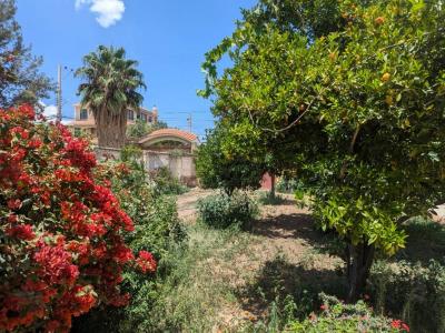 Pucara Chico , Sur, Cochabamba 00001, Bolivia