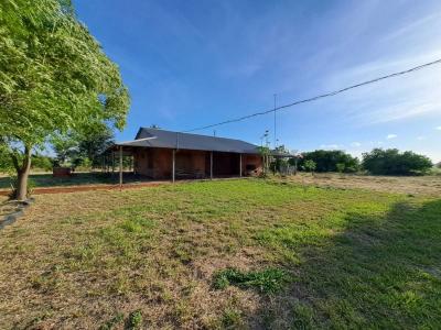 Blumengart Loma Plata , Loma Plata, Boquerón 9307, Paragwaj