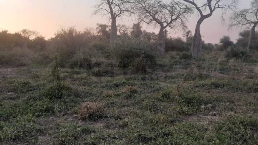 Villa Urunde'y , Cruce Boquerón, Boquerón 9370, Paragwaj