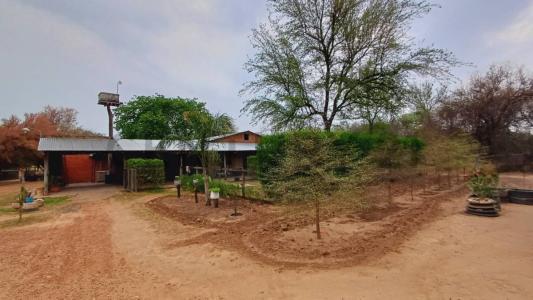 Calle Bergfeld , Loma Plata, Boquerón 9370, Paragwaj