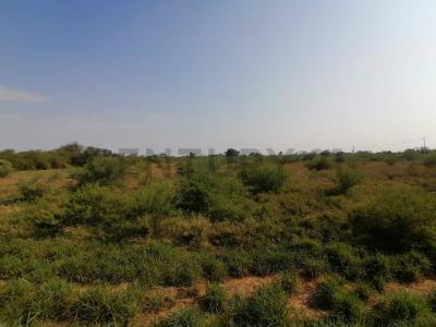 Lichtfelde , Filadelfia, Boquerón 00001, 파라과이