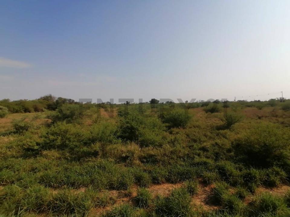 Lichtfelde , Filadelfia, Boquerón 00001, 巴拉圭