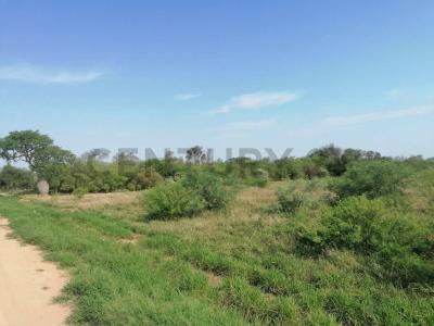 Lichtfelde , Filadelfia, Boquerón 00001, 巴拉圭