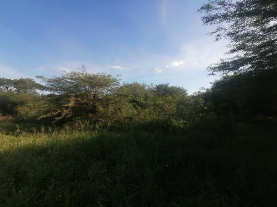 SAN MIGUEL SUB URBANO , Cruce Boquerón, Boquerón 9370, Le Paraguay