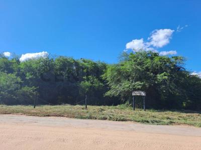 Bergfeld Loma Plata , Loma Plata, Boquerón 9307, 巴拉圭