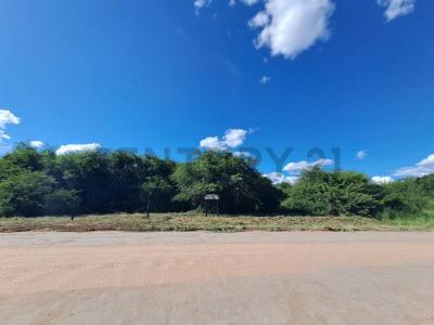 Bergfeld Loma Plata , Loma Plata, Boquerón 9307, 巴拉圭