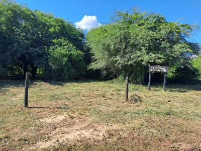 Bergfeld Loma Plata , Loma Plata, Boquerón 9307, 巴拉圭