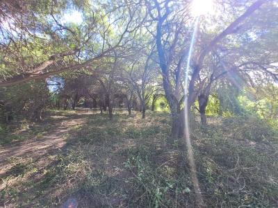 Bergfeld Loma Plata , Loma Plata, Boquerón 9307, 巴拉圭