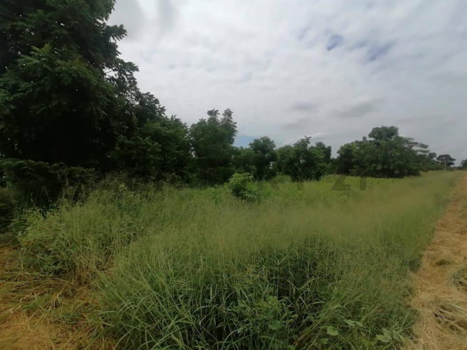 Osterwick , Loma Plata, Boquerón 00001, Paraguai