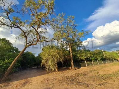 Bergfeld Loma Plata , Loma Plata, Boquerón 9307, Paraguay