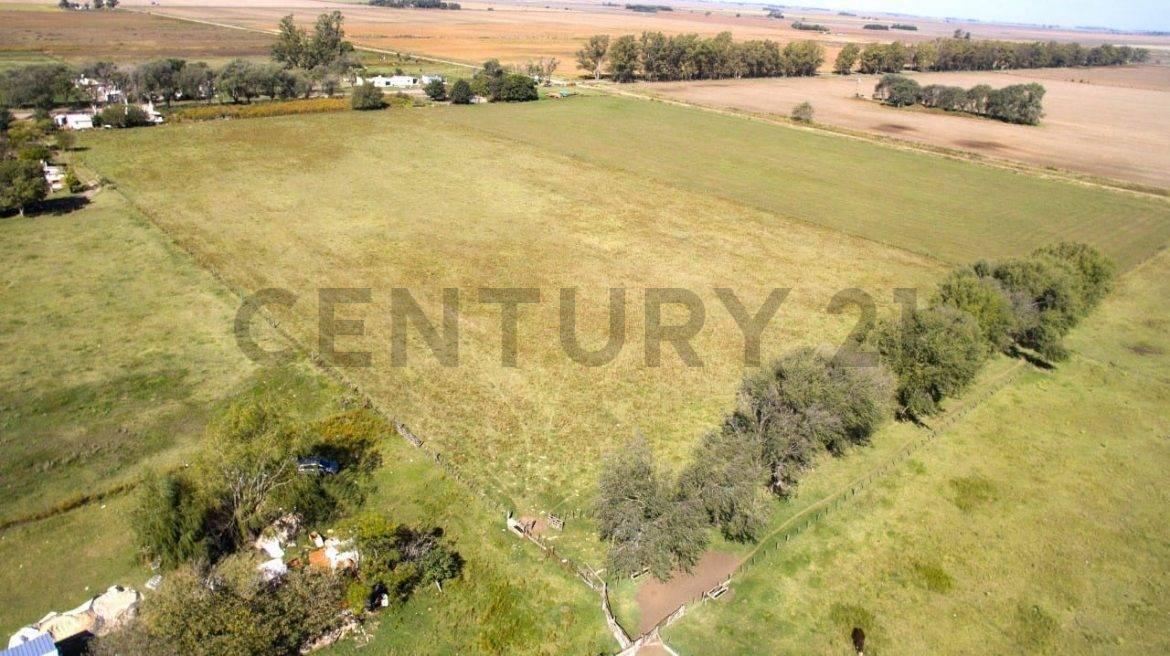 Ciudad de Roma 200, Mar Del Plata, Buenos Aires Costa Atlántica 00001, Argentina