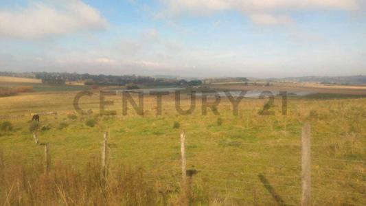 Ciudad de Roma 200, Mar Del Plata, Buenos Aires Costa Atlántica 00001, Argentina