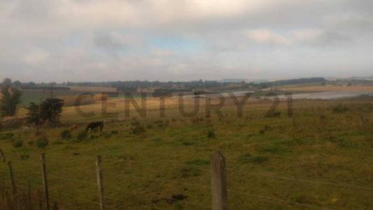 Ciudad de Roma 200, Mar Del Plata, Buenos Aires Costa Atlántica 00001, Argentina