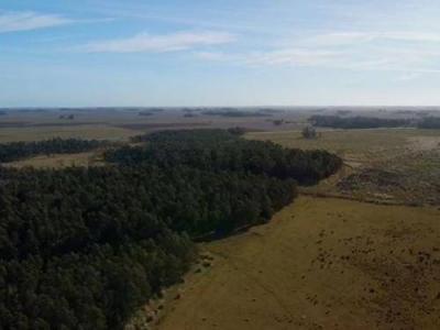 Ruta 11 475, Mar Del Plata, Buenos Aires Costa Atlántica 00001, Argentina