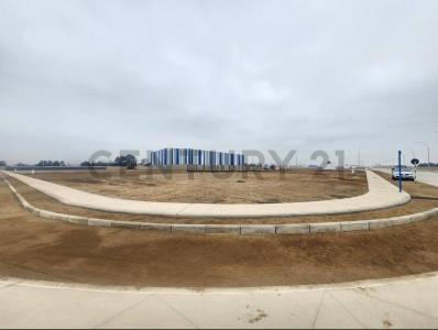 Cañete, Lima 00001, Peru