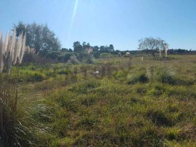 Emilio Larraya 155 y 154 ., Mar Del Plata, Buenos Aires Costa Atlántica 00001, 阿根廷