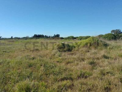 Emilio Larraya 155 y 154 ., Mar Del Plata, Buenos Aires Costa Atlántica 00001, 阿根廷