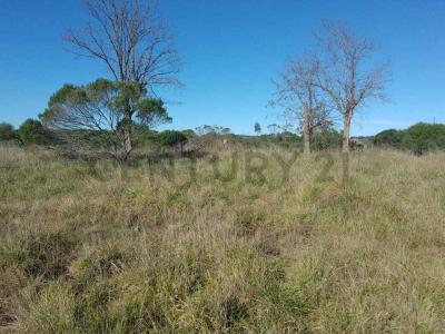 Emilio Larraya 155 y 154 ., Mar Del Plata, Buenos Aires Costa Atlántica 00001, 阿根廷