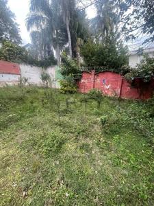 San Jose 479 entre España y Juan de Salazar 479, Las Mercedes, Asunción 00001, Paraguay