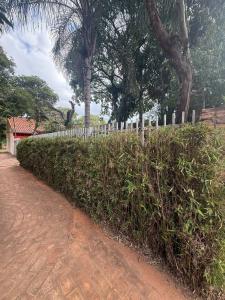 Primero de Marzo , Luque, Central 00001, Paraguay