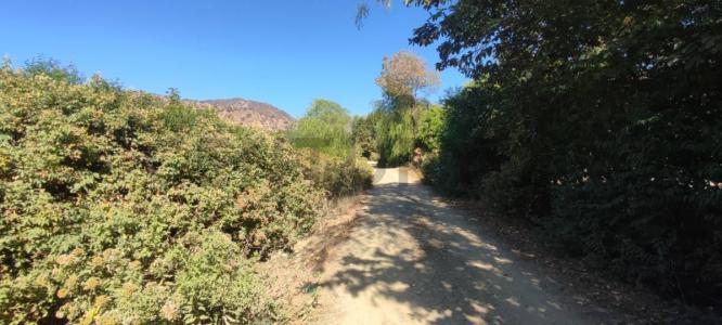 Los Mangales S/N, Sucre, Chuquisaca 00001, Bolivia