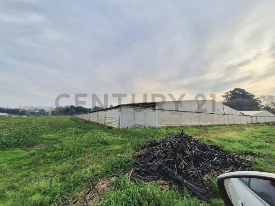 Tetamanti 4800, Mar Del Plata, Buenos Aires Costa Atlántica 00001, Argentina