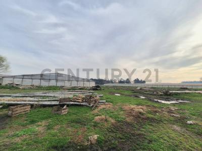 Tetamanti 4800, Mar Del Plata, Buenos Aires Costa Atlántica 00001, Argentina