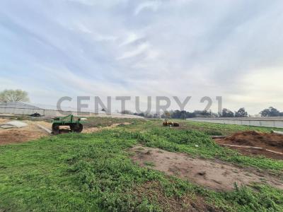 Tetamanti 4800, Mar Del Plata, Buenos Aires Costa Atlántica 00001, Argentina