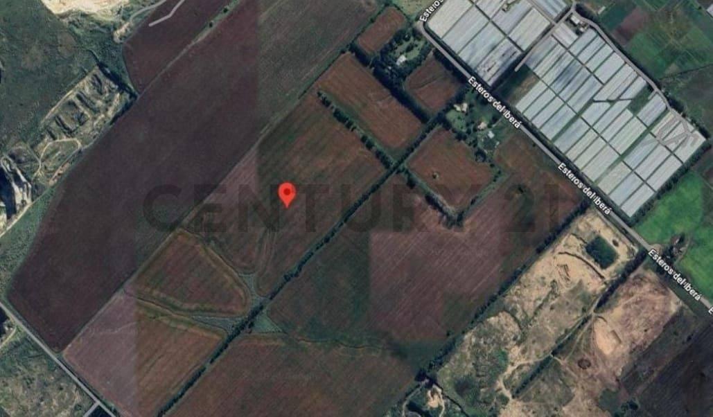 CALLE 11 , Mar Del Plata, Buenos Aires Costa Atlántica 00001, Argentina