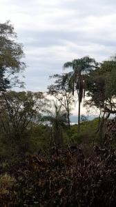 ybu , San Bernardino, Cordillera 00001, Paraguay