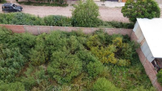 Zona Santa Rosa capacachi distrito 29 , Oeste, Cochabamba, Bolivia