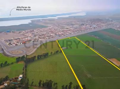 Huaura, Lima 00001, 秘魯