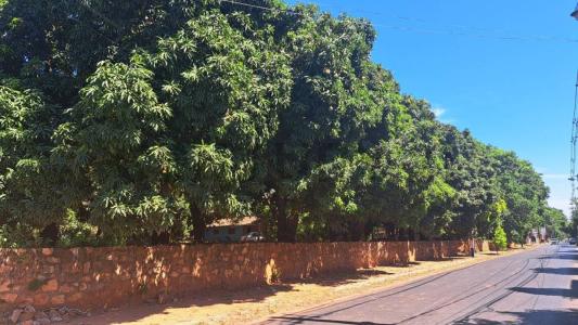 Brasil entre Profesora Rosa Masi y Andrés Salomón 0123, San Lorenzo, Central 00001, Paraguai