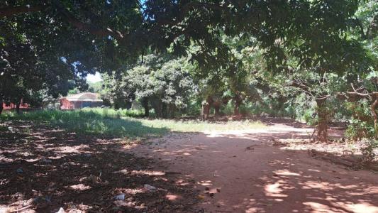 Brasil entre Profesora Rosa Masi y Andrés Salomón 0123, San Lorenzo, Central 00001, Paraguai