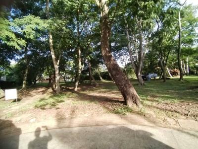 Condominio Colinas del Urubo Sector II , Urubo, Santa Cruz 00001, Bolivia