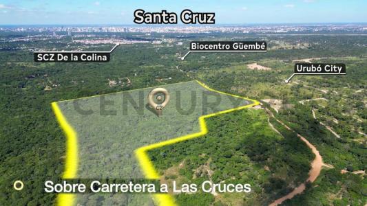 Carretera Santa Cruz - Las Cruces, Mariposario Terreno de 40 Has., Urubo, Santa Cruz 00001, Bolivia
