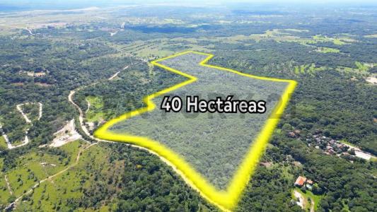 Carretera Santa Cruz - Las Cruces, Mariposario Terreno de 40 Has., Urubo, Santa Cruz 00001, Bolivia