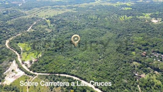 Carretera Santa Cruz - Las Cruces, Mariposario Terreno de 40 Has., Urubo, Santa Cruz 00001, Bolivia