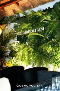 Federación Rusa esq. Cecilio da Silva Lovera, , Las Lomas, Asunción 00001, Paraguay